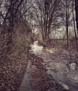  © Charlotte Krautwig