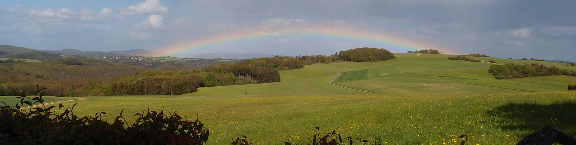 GITTE-KRAUTWIG-EIFEL-IMPRESSIONEN-04