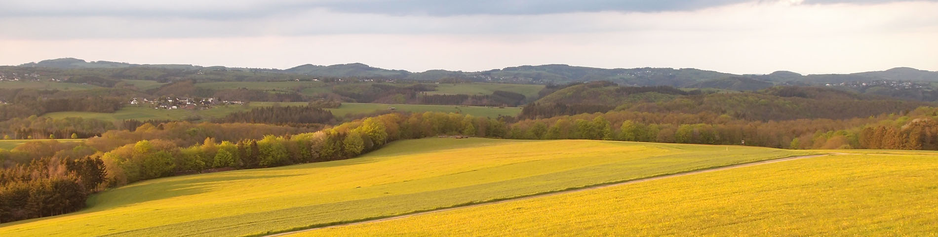GITTE-KRAUTWIG-EIFEL-IMPRESSIONEN-07