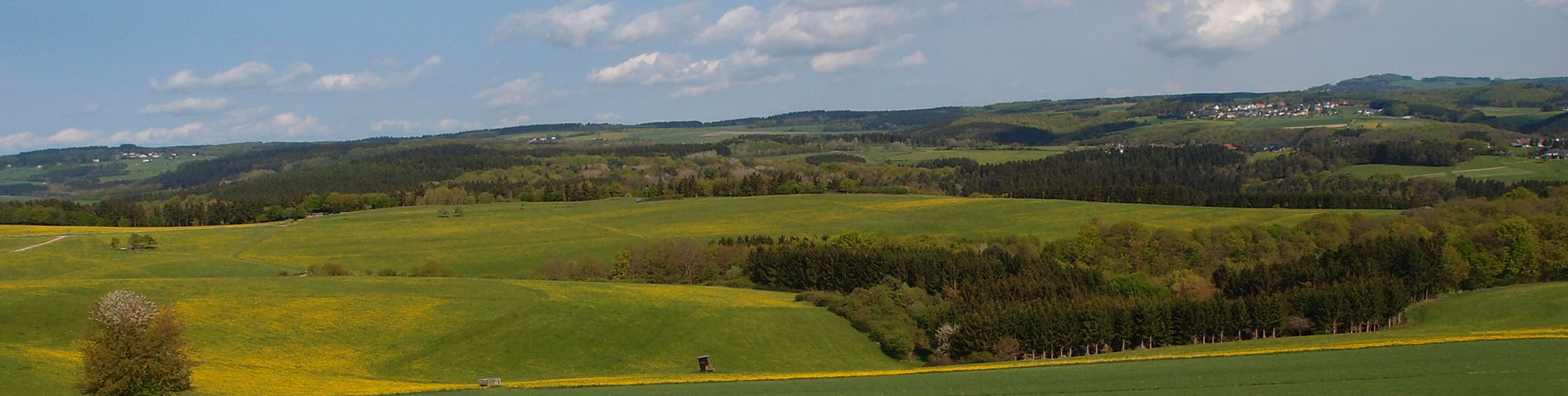 GITTE-KRAUTWIG-EIFEL-IMPRESSIONEN-20