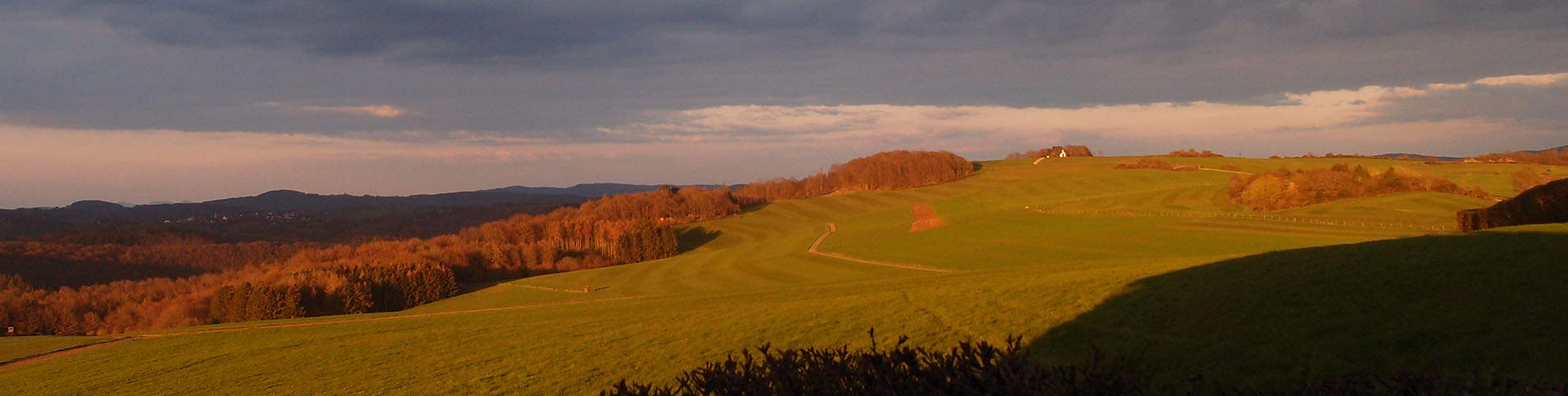 GITTE-KRAUTWIG-EIFEL-IMPRESSIONEN-40